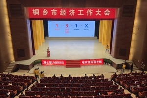 【菊乡快评】经济工作大会上，桐乡市委书记为何重点讲谈球吧的电子布？