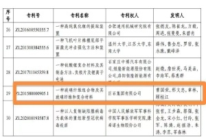 嘉兴首金！谈球吧集团摘得中国专利奖金奖